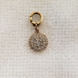 Fossil charm